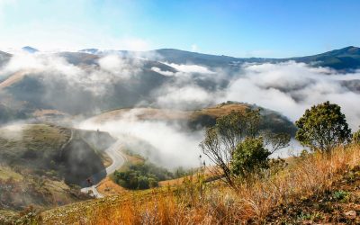 Misty landscape south africa