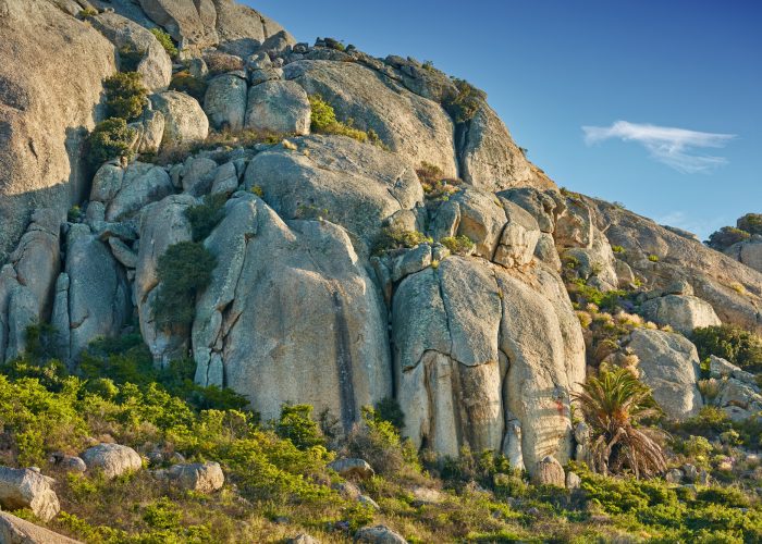Nature - Cape Town area. Nature surrounding the city of Cape Town, South Africa.