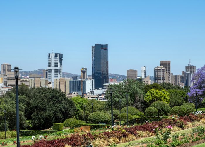 Pretoria city center, high rise buildings and blooming jacaranda trees. South Africa.